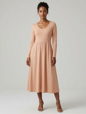 Everlane Long Sleeve Ballerina Dress